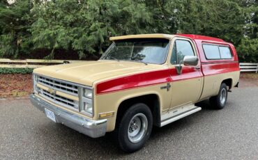 Chevrolet-C10-pickup-1985-8