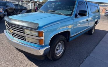 Chevrolet-C1500-cheyenne-1993-blue-206651-3