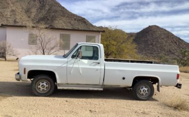 Chevrolet-C20-1978-white-8369-1