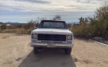 Chevrolet-C20-1978-white-8369-2