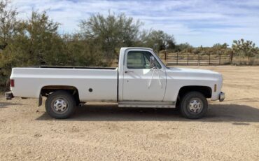 Chevrolet-C20-1978-white-8369