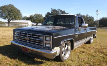 Chevrolet-CK-Pickup-1500-1985-1