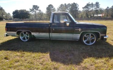 Chevrolet-CK-Pickup-1500-1985-4