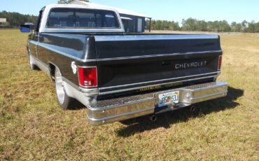 Chevrolet-CK-Pickup-1500-1985-5