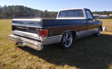 Chevrolet-CK-Pickup-1500-1985-6