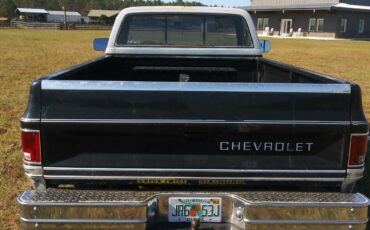 Chevrolet-CK-Pickup-1500-1985-8