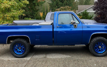 Chevrolet-CK-Pickup-1500-1986-Blue-Blue-198683-1