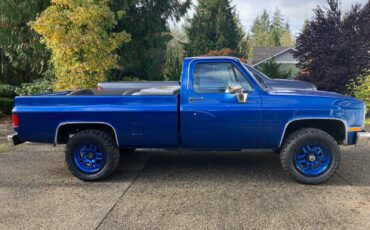 Chevrolet-CK-Pickup-1500-1986-Blue-Blue-198683-4