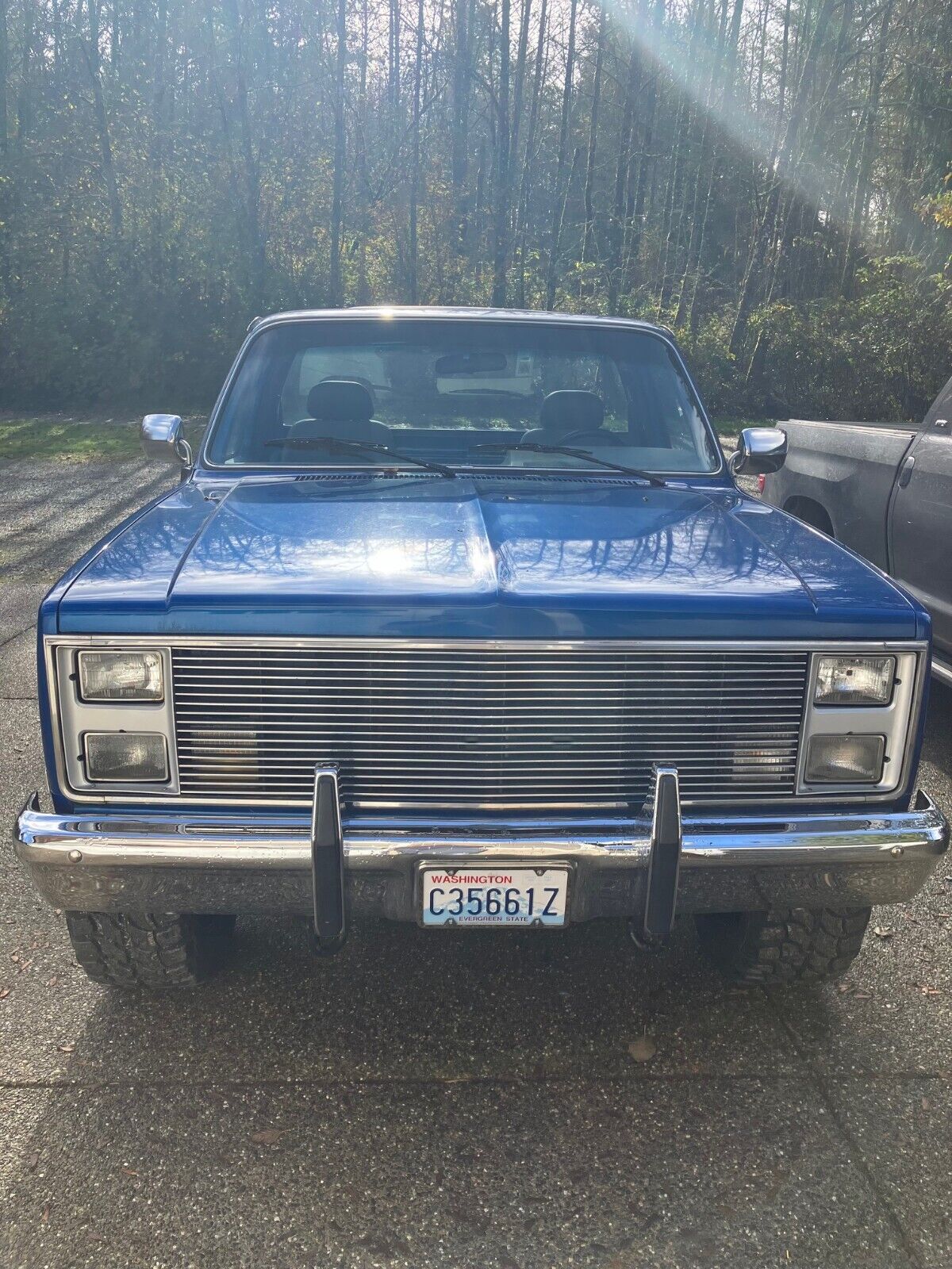 Chevrolet-CK-Pickup-1500-1986-Blue-Blue-198683-5