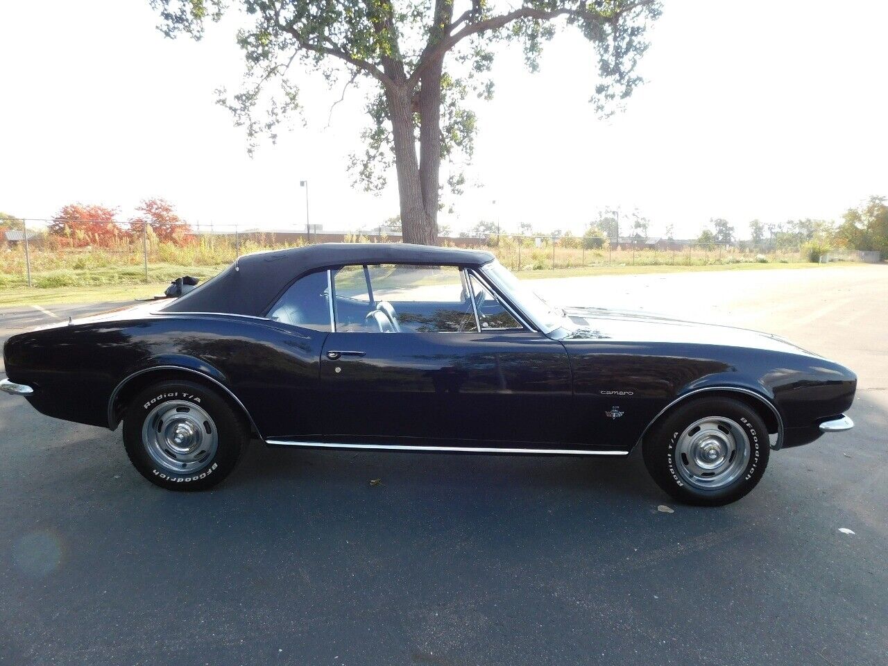 Chevrolet-Camaro-1967-Blue-Black-137845-5