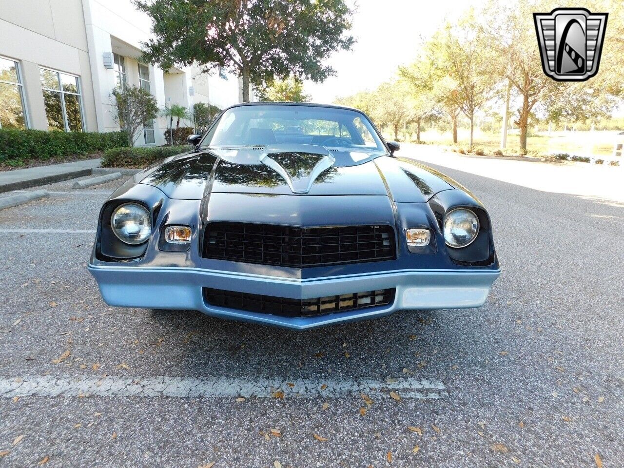 Chevrolet-Camaro-1981-Black-Blue-27415-2