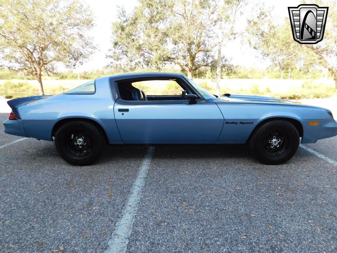 Chevrolet-Camaro-1981-Black-Blue-27415-3