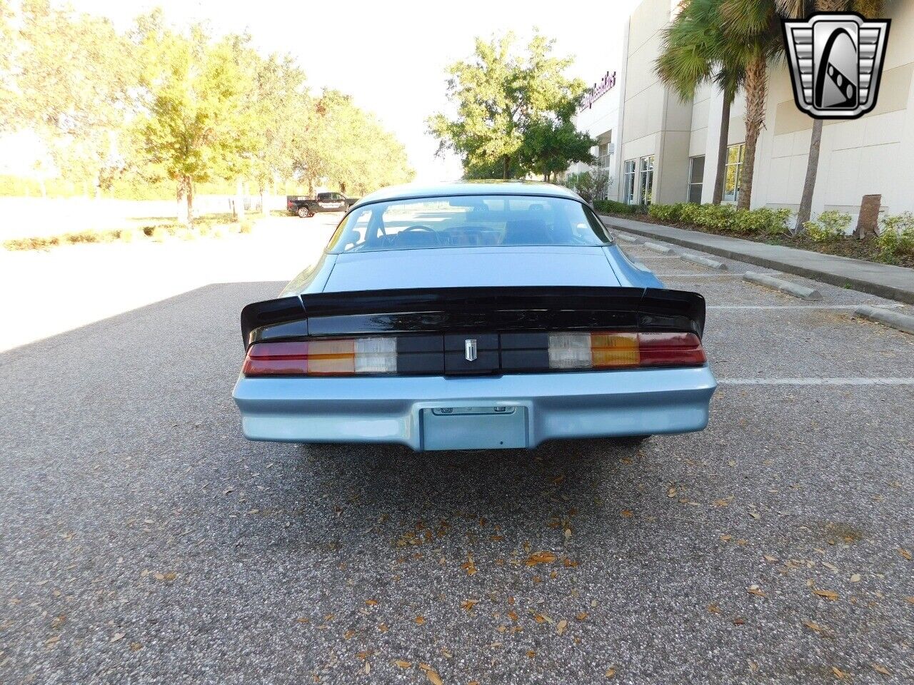 Chevrolet-Camaro-1981-Black-Blue-27415-4