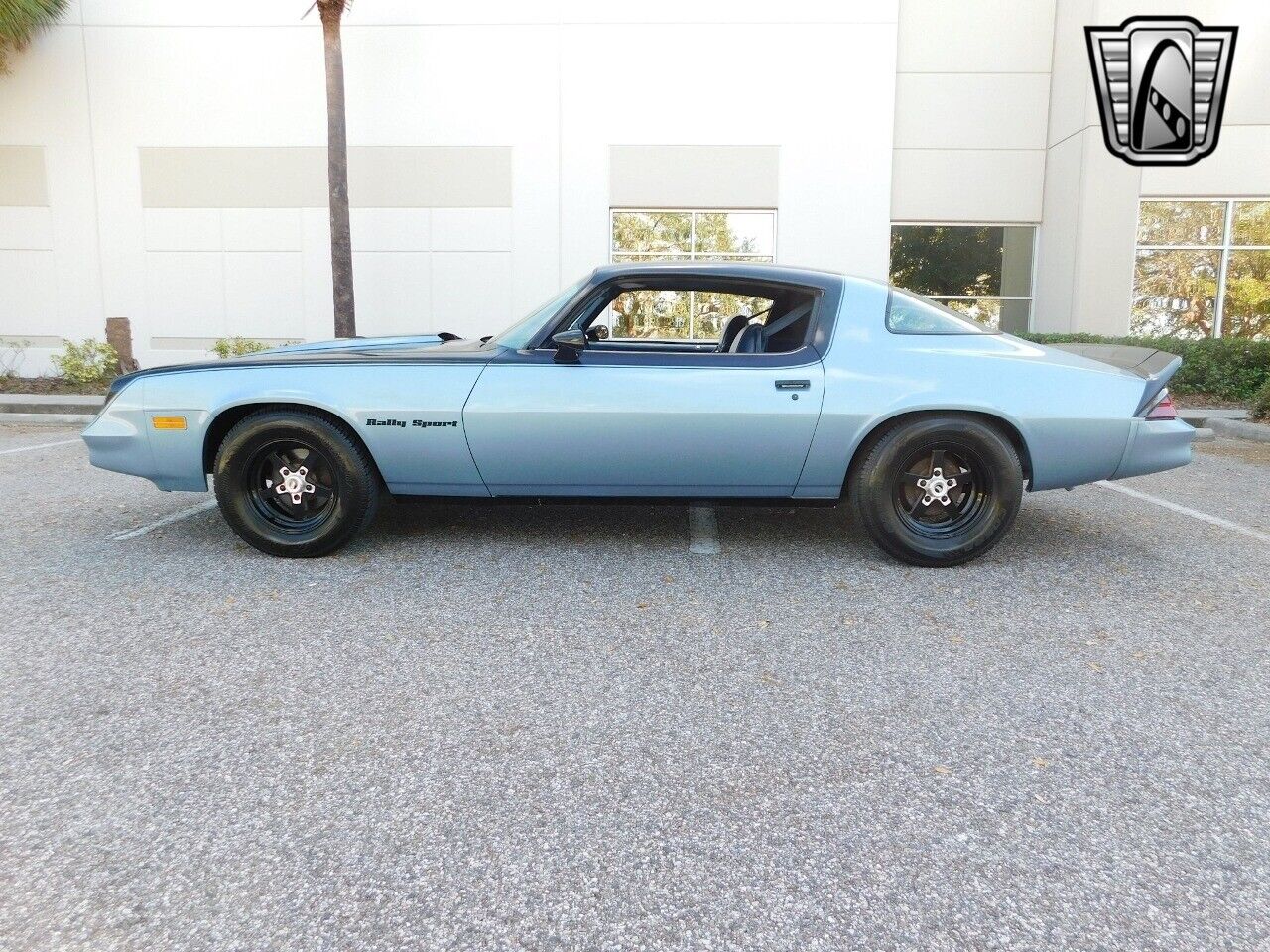 Chevrolet-Camaro-1981-Black-Blue-27415-5