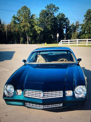 Chevrolet-Camaro-Coupe-1978-Green-Tan-88514-5