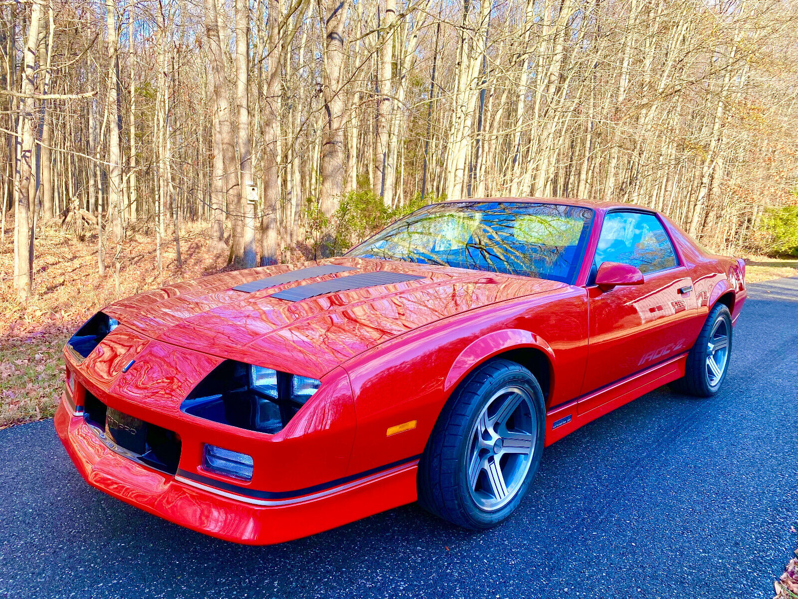 Chevrolet-Camaro-Coupe-1989-1