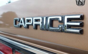 Chevrolet-Caprice-1989-Light-Beechwood-Metallic-Tan-95909-11