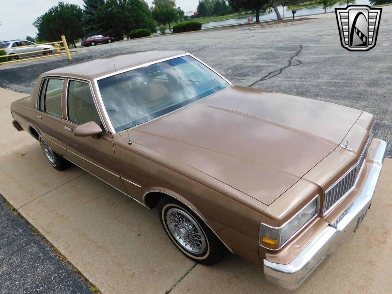 Chevrolet-Caprice-1989-Light-Beechwood-Metallic-Tan-95909-3