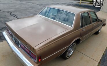 Chevrolet-Caprice-1989-Light-Beechwood-Metallic-Tan-95909-4