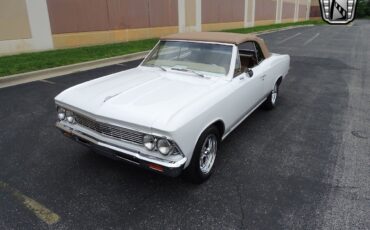 Chevrolet-Chevelle-1966-White-Tan-3806-2