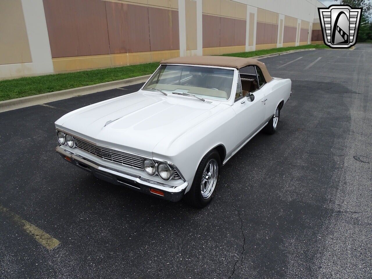 Chevrolet-Chevelle-1966-White-Tan-3806-2