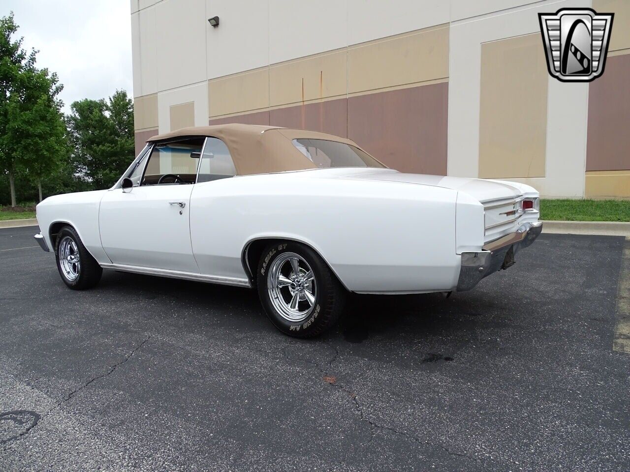 Chevrolet-Chevelle-1966-White-Tan-3806-4