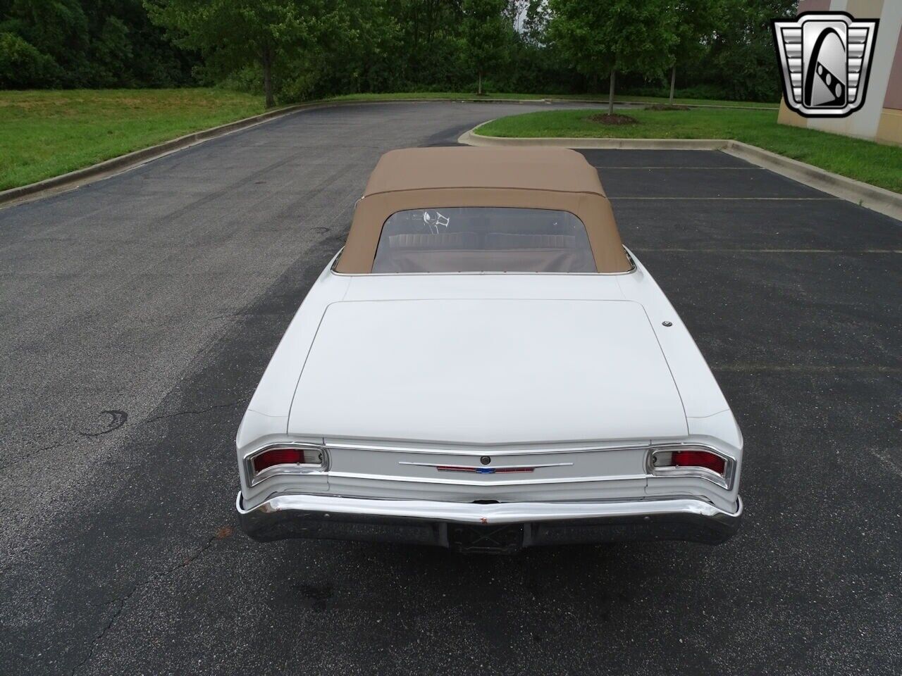 Chevrolet-Chevelle-1966-White-Tan-3806-5