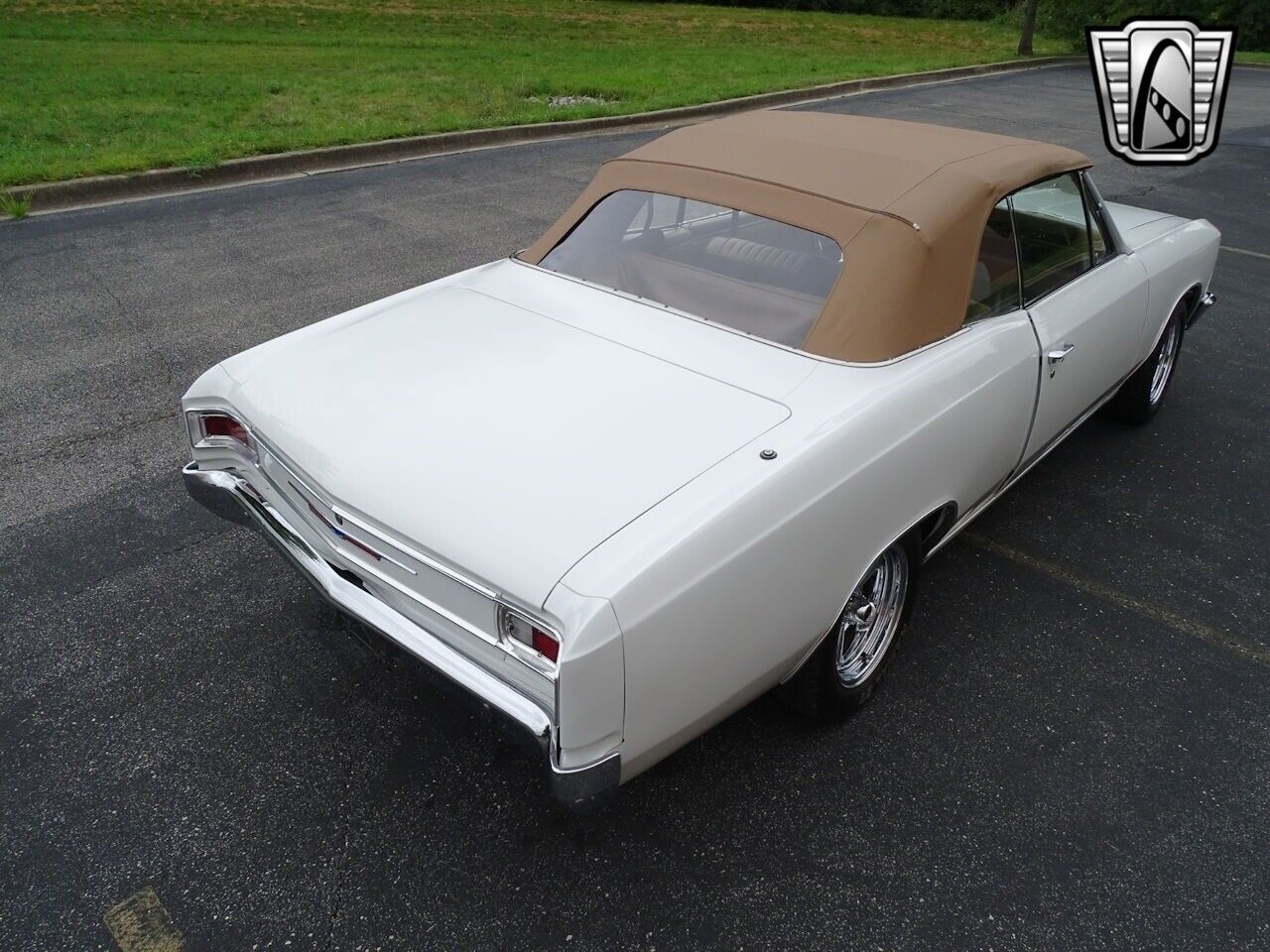 Chevrolet-Chevelle-1966-White-Tan-3806-6