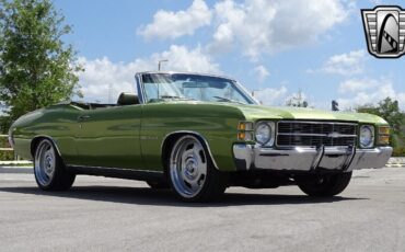 Chevrolet-Chevelle-1971-Green-Green-102718-6