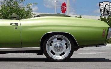 Chevrolet-Chevelle-1971-Green-Green-102718-8