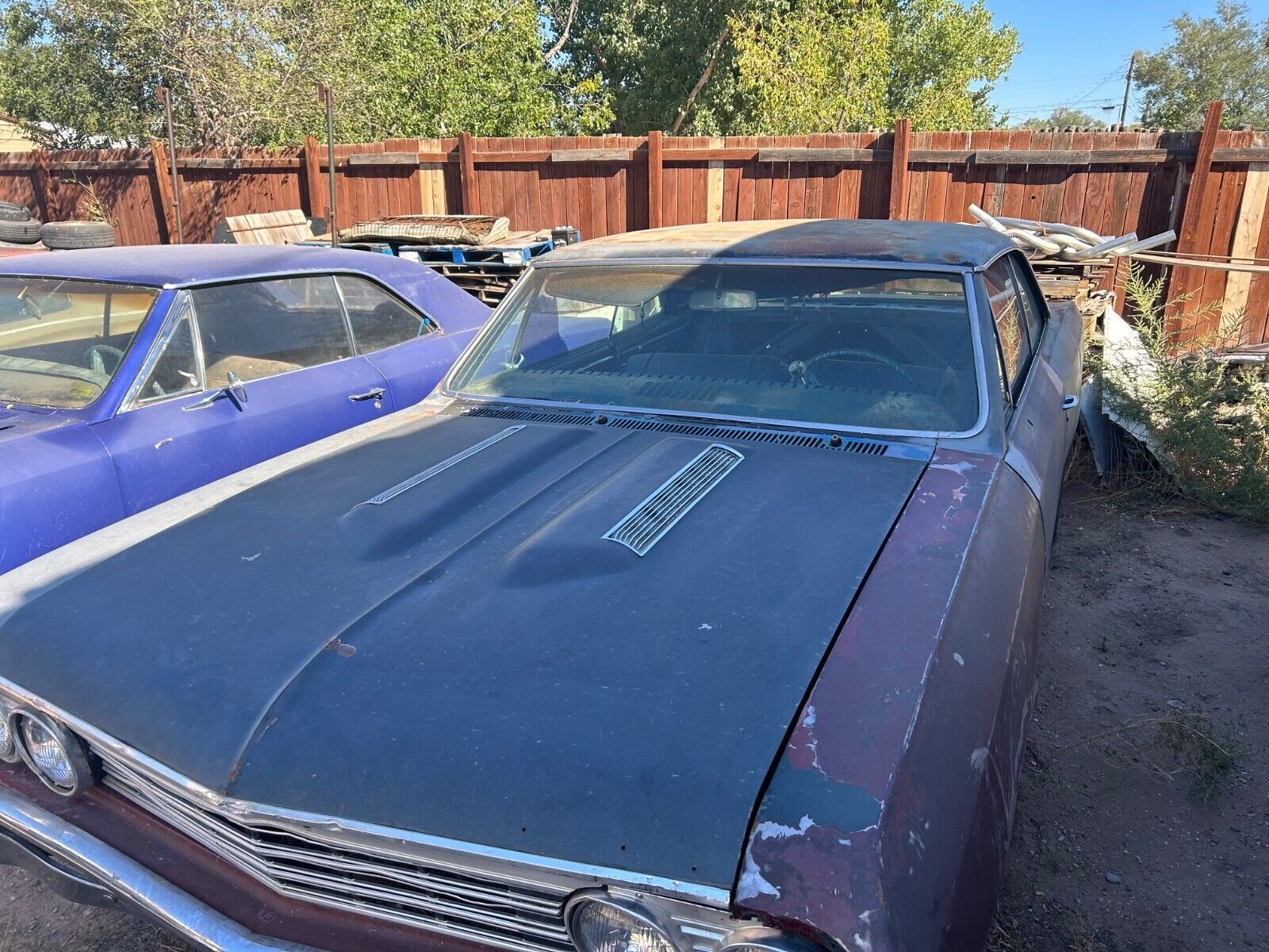 Chevrolet-Chevelle-Coupe-1967-Blue-1089151-2