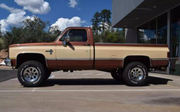 Chevrolet-Chevy-k10-4wd-silverado-diesel-1982-10