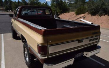 Chevrolet-Chevy-k10-4wd-silverado-diesel-1982-16