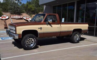 Chevrolet-Chevy-k10-4wd-silverado-diesel-1982-23