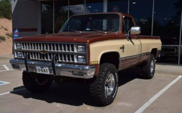 Chevrolet-Chevy-k10-4wd-silverado-diesel-1982-7