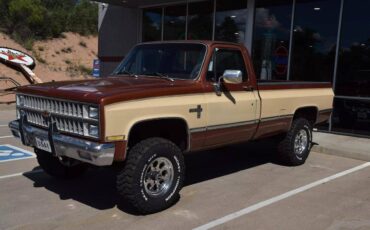 Chevrolet-Chevy-k10-4wd-silverado-diesel-1982-8