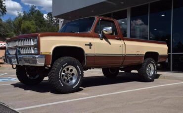 Chevrolet-Chevy-k10-4wd-silverado-diesel-1982-9