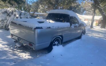 Chevrolet-Cheyenne-1500-1994-160934-2