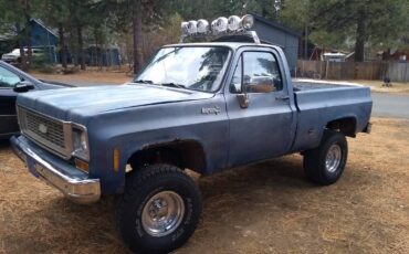 Chevrolet-Cheyenne-1974-blue-85295