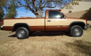 Chevrolet-Cheyenne-ck-2500-silverado-1989-7242-16