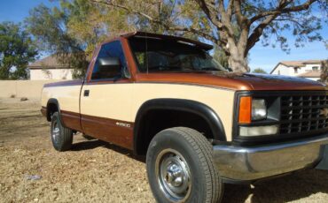 Chevrolet-Cheyenne-ck-2500-silverado-1989-7242-20