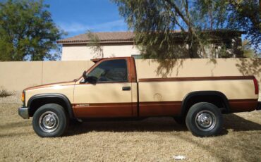 Chevrolet-Cheyenne-ck-2500-silverado-1989-7242