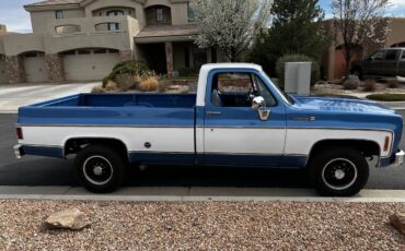 Chevrolet-Cheyenne-super-c20-1973-custom-139148