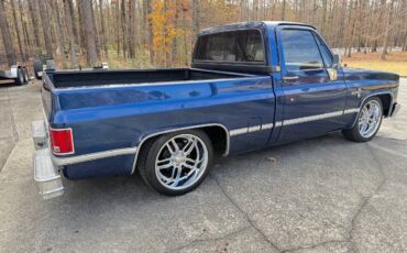 Chevrolet-Ck-pickup-12-ton-1984-blue-2-11