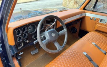 Chevrolet-Ck-pickup-12-ton-1984-blue-2-15