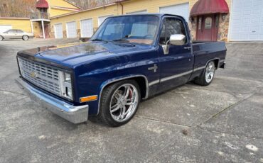 Chevrolet-Ck-pickup-12-ton-1984-blue-2-3