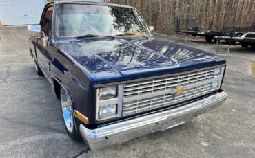 Chevrolet-Ck-pickup-12-ton-1984-blue-2