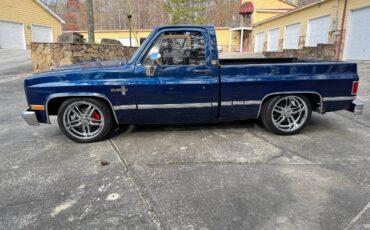 Chevrolet-Ck-pickup-12-ton-1984-blue-2-4