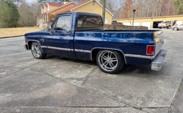 Chevrolet-Ck-pickup-12-ton-1984-blue-2-5