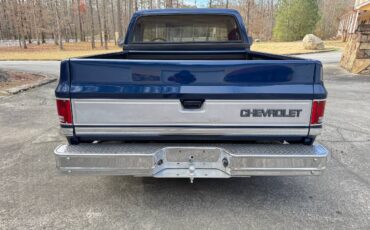 Chevrolet-Ck-pickup-12-ton-1984-blue-2-8